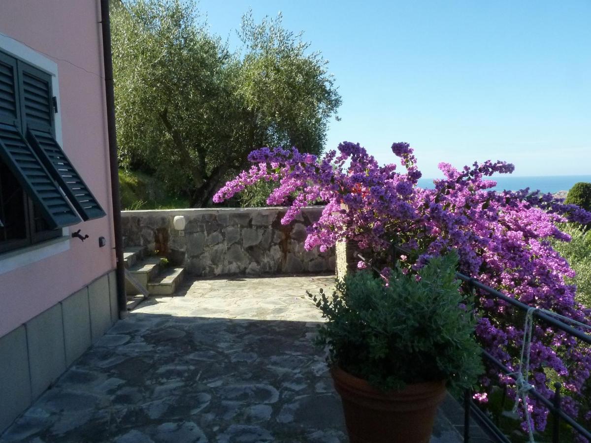 San Salvatore  La Gatta Sul Sentiero B&B 외부 사진